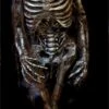 "Ancient Egyptian Mummy" Professional Halloween Prop 1 "Ancient Egyptian Mummy" Professional Halloween Prop -Halloween Costumes Store ancient egyptian mummy professional halloween prop 8179501249