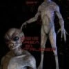 "Area 51 Intruder" Professional Alien Halloween Prop - 7 Foot Tall -Halloween Costumes Store area 51 intruder professional alien halloween prop 7 foot tall 8179847681