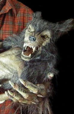 "Baby Werewolf Puppet" HD Studios Halloween Prop -Halloween Costumes Store baby werewolf puppet hd studios halloween prop 14159829270576