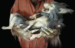 "Baby Werewolf Puppet" HD Studios Halloween Prop -Halloween Costumes Store baby werewolf puppet hd studios halloween prop 8671037569