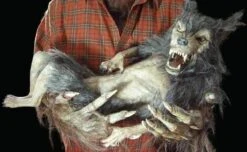 "Baby Werewolf Puppet" HD Studios Halloween Prop -Halloween Costumes Store baby werewolf puppet hd studios halloween prop 8671039169