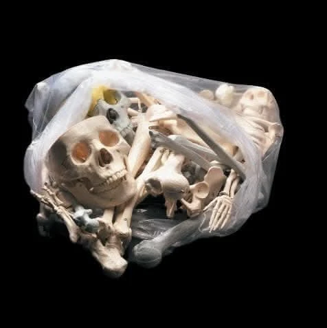 "Bag Of Bones - Large" Halloween Prop 3 "Bag Of Bones - Large" Halloween Prop