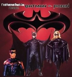 "Batman, Robin And Batgirl" Deluxe Costume