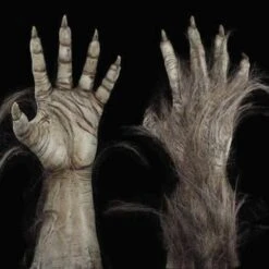 "Big Bad Wolf" HD Studios Pro Costume -Halloween Costumes Store big bad wolf hd studios pro werewolf halloween costume 28888194940976