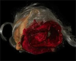 "Big Mouth Severed Head" HD Studios Bloody Halloween Prop 10 "Big Mouth Severed Head" HD Studios Bloody Halloween Prop -Halloween Costumes Store big mouth severed head hd studios bloody halloween prop 8671217409