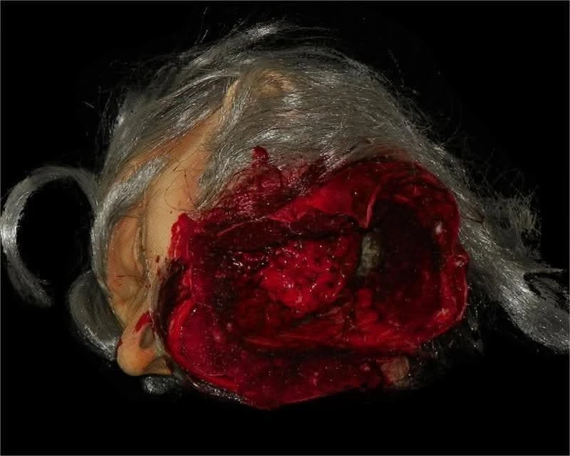 "Big Mouth Severed Head" HD Studios Bloody Halloween Prop 6 "Big Mouth Severed Head" HD Studios Bloody Halloween Prop - Image 4