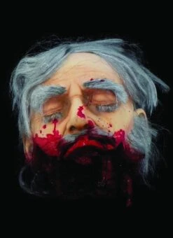 "Big Mouth Severed Head" HD Studios Bloody Halloween Prop 11 "Big Mouth Severed Head" HD Studios Bloody Halloween Prop -Halloween Costumes Store big mouth severed head hd studios bloody halloween prop 8671221889