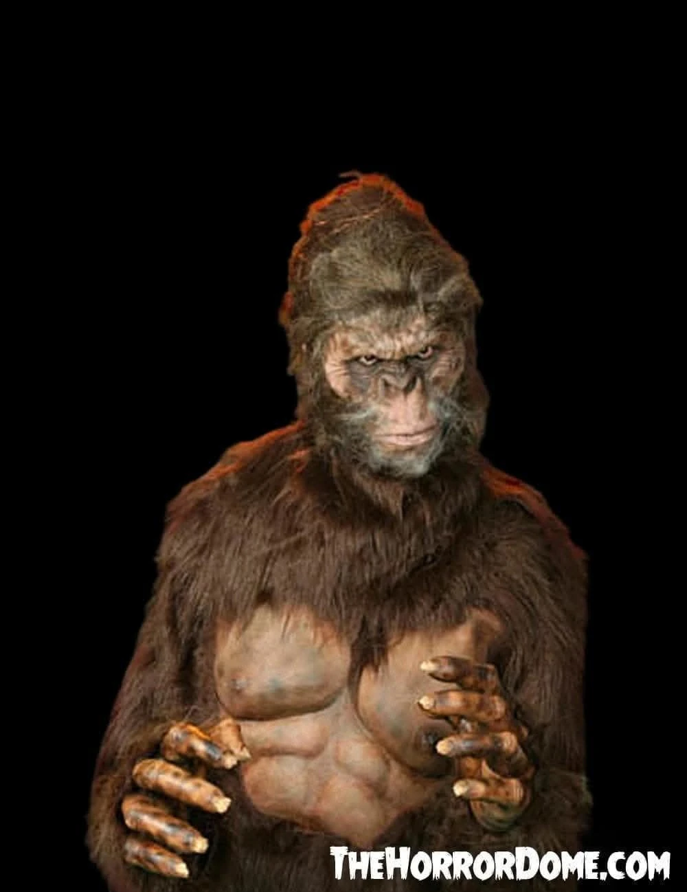 "Bigfoot" HD Studios Pro Costume 4 "Bigfoot" HD Studios Pro Costume - Image 2