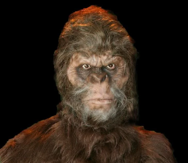 "Bigfoot" HD Studios Pro Costume 5 "Bigfoot" HD Studios Pro Costume - Image 3