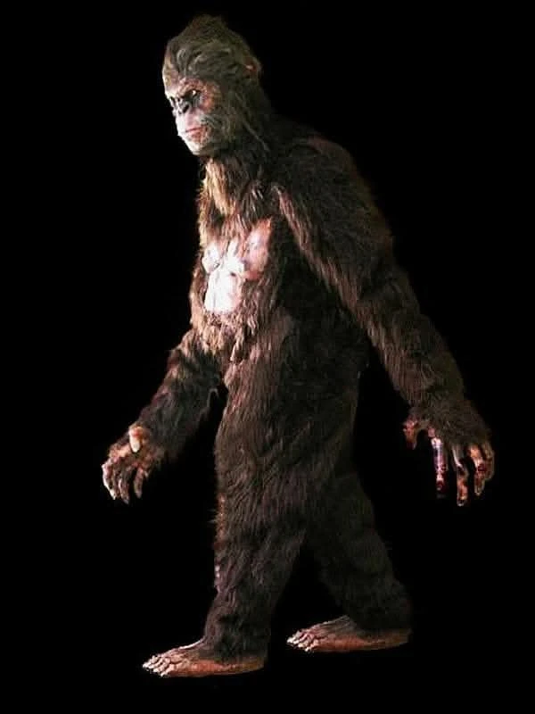 "Bigfoot" HD Studios Pro Costume 6 "Bigfoot" HD Studios Pro Costume - Image 4