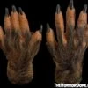Brown Wolfman Hands - HD Studios -Halloween Costumes Store brown wolfman hands hd studios 28867819372592