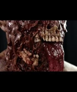 "Buckshot The Zombie" Silicone Mask -Halloween Costumes Store buckshot the zombie silicone halloween mask 8671349185