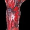 "Burnt Arm" Gory Halloween Prop -Halloween Costumes Store burnt arm gory halloween prop 28670396399664