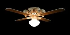 "Ceiling Fan With 8 Small Skulls And Light" Haunted House Lighting