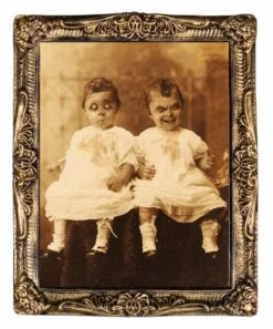 "Changing Portrait - Twins" Hanging Halloween Decoration