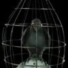 "Crow In Cage" Animated Halloween Prop -Halloween Costumes Store crow in cage animated halloween prop 14325929017392