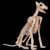 Doberman Skeleton Dog Skeleton Halloween Prop -Halloween Costumes Store doberman skeleton dog skeleton halloween prop 30408654946352