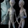 "EBE Extraterrestrial Biological Entity" Professional Alien Prop