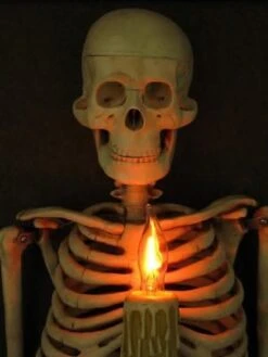 "Framed 3D Skeleton Torso Holding Candle" Hanging Haunted House Decoration -Halloween Costumes Store framed 3d skeleton torso holding candle hanging haunted house decoration 28663808557104