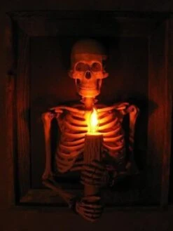 "Framed 3D Skeleton Torso Holding Candle" Hanging Haunted House Decoration -Halloween Costumes Store framed 3d skeleton torso holding candle hanging haunted house decoration 28758724247600