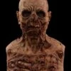 "Graveborn The Zombie" Silicone Mask -Halloween Costumes Store graveborn the zombie silicone halloween mask 14159298494512