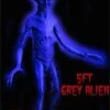 "Grey Alien" Movie-Quality Professional Prop -Halloween Costumes Store grey alien movie quality professional prop 8179720129