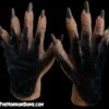 Monster Hands With Black Hair - HD Studios -Halloween Costumes Store haired monster hd studios hands 28530903908400