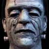 "House Of Frankenstein" Mask 1 "House Of Frankenstein" Mask -Halloween Costumes Store house of frankenstein mask 15547004452912