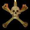 "Humerus Bone Wall Sconce With 3 Inch Skull" Haunted House Lighting -Halloween Costumes Store humerus bone wall sconce with 3 inch skull haunted house lighting 14357476671536