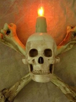 "Humerus Bone Wall Sconce With 3 Inch Skull" Haunted House Lighting -Halloween Costumes Store humerus bone wall sconce with 3 inch skull haunted house lighting 23613182977