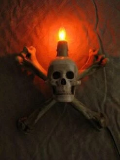 "Humerus Bone Wall Sconce With 3 Inch Skull" Haunted House Lighting -Halloween Costumes Store humerus bone wall sconce with 3 inch skull haunted house lighting 23613184193