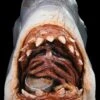 "Jaws - Bruce The Shark" Mask -Halloween Costumes Store jaws bruce the shark movie halloween mask 14144900661296