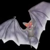 "Light Up Demon Bat" Halloween Animal Prop -Halloween Costumes Store light up demon bat halloween animal prop 14325922594864