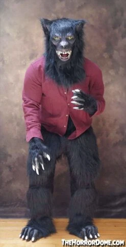 "Lycanthrope" HD Comfort Werewolf Costume -Halloween Costumes Store lycanthrope hd studios comfort fit halloween costume 15348685635632