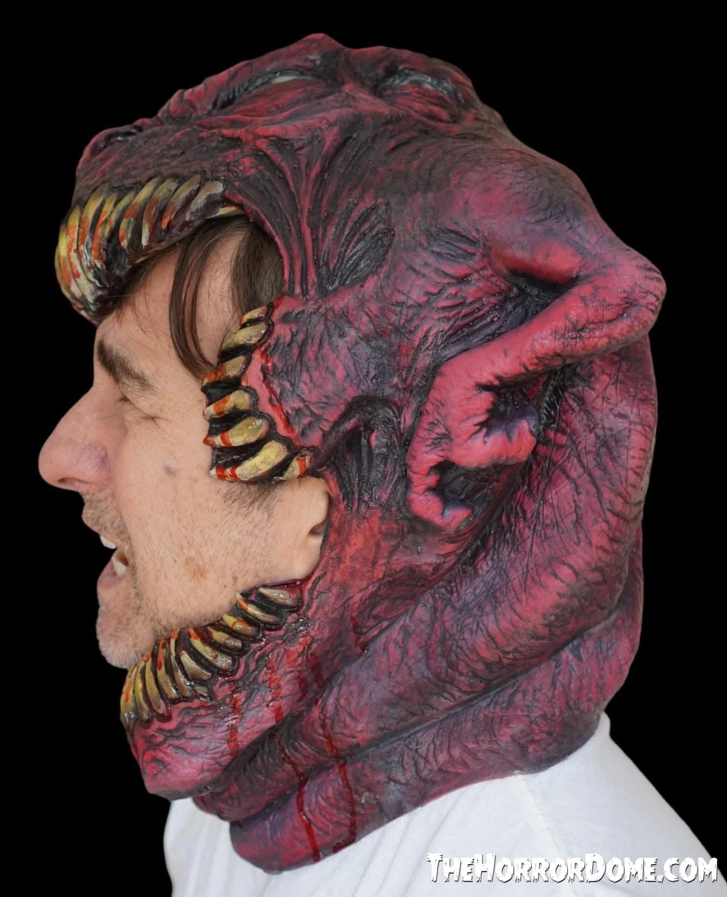 " The Head Chomper" HD Studios Pro Mask 9 " The Head Chomper" HD Studios Pro Mask - Image 7
