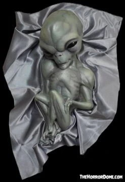 "Roswell Alien Baby Crash Victim" HD Exclusive Halloween Decoration -Halloween Costumes Store new for 2022 roswell alien baby crash victim hd exclusive halloween decoration 30106370048048