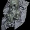 "Roswell Alien Baby Crash Victim" HD Exclusive Halloween Decoration 2 "Roswell Alien Baby Crash Victim" HD Exclusive Halloween Decoration -Halloween Costumes Store new for 2022 roswell alien baby crash victim hd exclusive halloween decoration 30106370080816