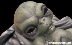 "Roswell Alien Baby Crash Victim" HD Exclusive Halloween Decoration -Halloween Costumes Store new for 2022 roswell alien baby crash victim hd exclusive halloween decoration 30106412580912