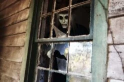 "Night Drifter" HD Studios Pro Mask -Halloween Costumes Store night drifter hd studios pro halloween mask 28425517662256