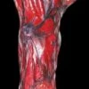 "Peeled Flesh - Left Arm" Human Body Part Halloween Prop -Halloween Costumes Store peeled flesh left arm human body part halloween prop 15770118062128