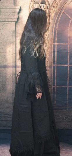 "Victorian Witch Dress" HD Studios Costume -Halloween Costumes Store professional witch dress hd studios halloween costume 28885859434544