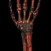 "Rotted Hand - Flesh And Bone" Human Body Part Halloween Prop -Halloween Costumes Store rotted hand flesh and bone human body part halloween prop 14303055380528