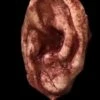 "Severed Ear" Halloween Prop -Halloween Costumes Store severed ear halloween prop 14528013893680