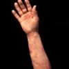 "Severed Male Right Arm - Silicone" Human Body Part Halloween Prop -Halloween Costumes Store severed male right arm silicone human body part halloween prop 28756574994480