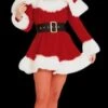 "Sexy Miss Santa - Adult Small" Costume
