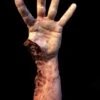 "Shark Bite Silicone Arm" Bloody Body Part Prop -Halloween Costumes Store shark bite silicone arm bloody body part prop 11944225013808