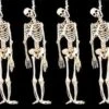 "Skeleton Halloween Props" - 6x Package Deal -Halloween Costumes Store skeleton halloween props 6x package deal 28664460345392