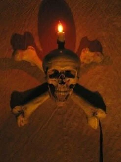 "Skull/Femur Bone Wall Sconce" Haunted House Lighting -Halloween Costumes Store skull femur bone wall sconce haunted house lighting 23613103873