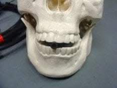 "Spitter Mechanism" Animated Halloween Prop Accessory 4 "Spitter Mechanism" Animated Halloween Prop Accessory - Image 2