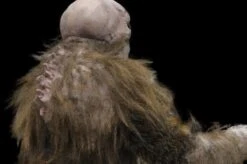 "The Hobgoblin" HD Studios Pro Costume -Halloween Costumes Store the hobgoblin hd studios pro halloween costume 8721737217